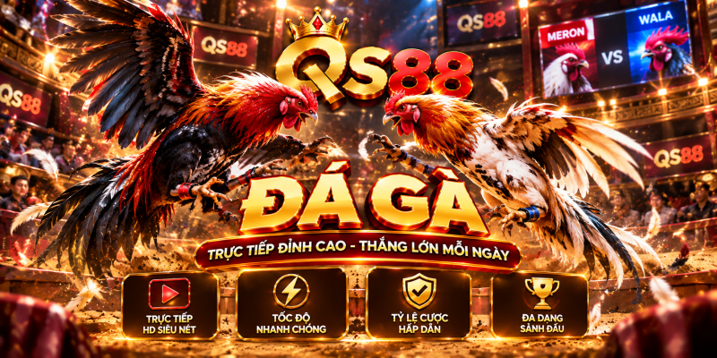 Sảnh đá gà qs88